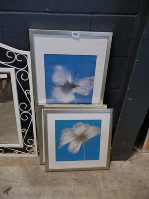 Lot 1282 - 3 framed pictures of flowers