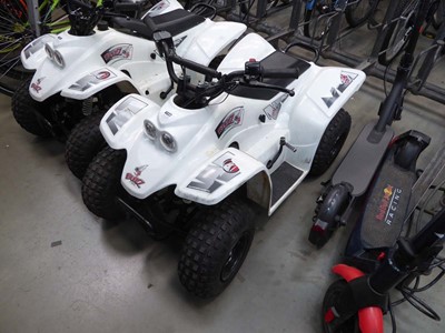 Lot 4027 - Quadzilla Buzz 2K50 children's petrol powered...