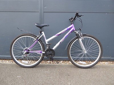 Lot 4040 - Hawk Lady Reaction silver and purple mountain...