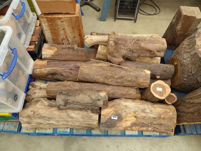 Lot 4428 - Pallet of mainly yew wood logs