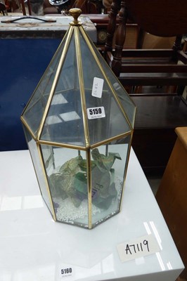 Lot 5159 - A glass terrarium