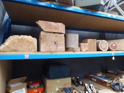 Lot 4514 - Shelf containing various burr wood blanks
