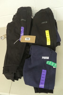 Lot 1443 - Approx. 16 childrens Puma joggers