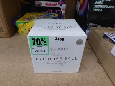 Lot 3468 - Exercise ball