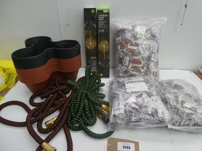 Lot 3583 - Large quantity of Mixed climbing rose and...