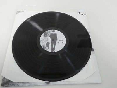 Lot Vinyl album by Nick Drake called Tanworth in...