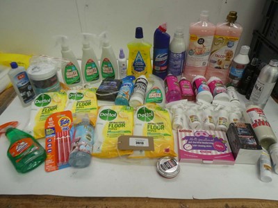 Lot 3613 - Bleach, household cleaning products, floor...