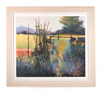 Lot 1 - Barry Freeman (contemporary), 'Allotments,...