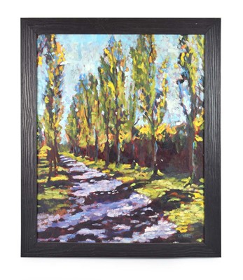 Lot 2 - Campbell (contemporary), A tree lined avenue,...
