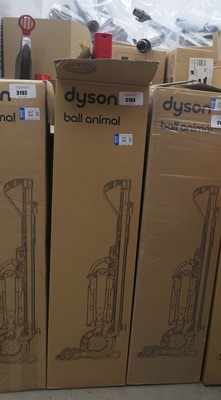 Lot 3193 - Upright Dyson ball animal vacuum cleaner