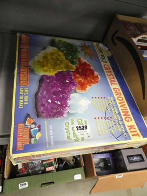 Lot 2539 - Discovery World crystal growing kit