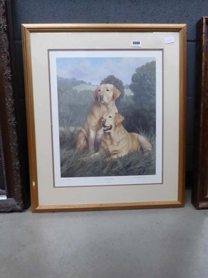 Lot 5088 - Limited ed. print of Labradors