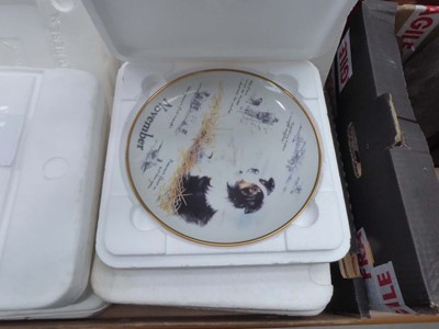 Lot 5095 - 12 Border Collie collector plates