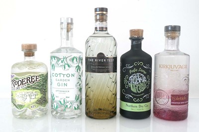 Lot 39 - 5 bottles of Gin, 1x The River Test...