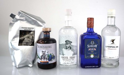 Lot 80 - 4 bottles & a pouch of Gin, 1x Liverpool...