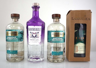 Lot 81 - 4 bottles of Gin, 1x Granuaile Irish Celtic...