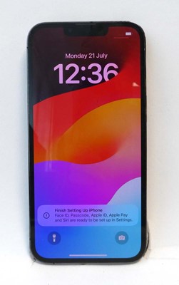 Lot 2208 - iPhone 13 Pro 512GB Graphite
