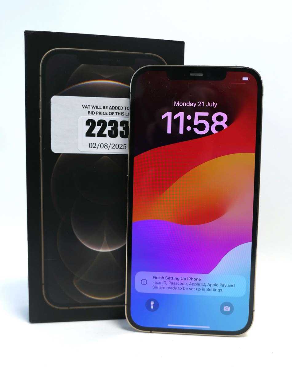 Lot 2233 - iPhone 12 Pro Max 128GB Gold with box