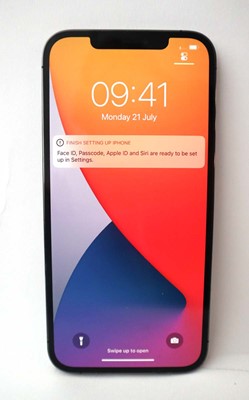 Lot 2244 - iPhone 12 Pro Max 256GB Graphite