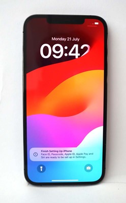 Lot 2245 - iPhone 12 Pro Max 256GB Graphite