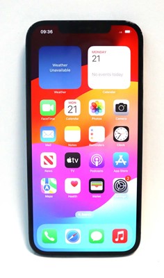 Lot 2251 - iPhone 12 Pro Max 128GB Pacific Blue