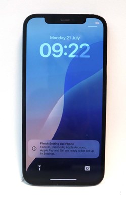 Lot 2256 - iPhone 12 Pro 256GB Pacific Blue