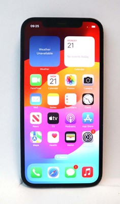 Lot 2260 - iPhone 12 Pro 128GB Pacific Blue