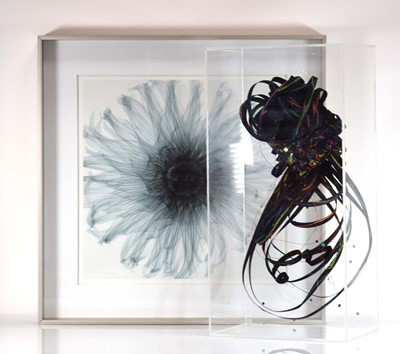 Lot 299 - A contemporary black ribbon collage contained...