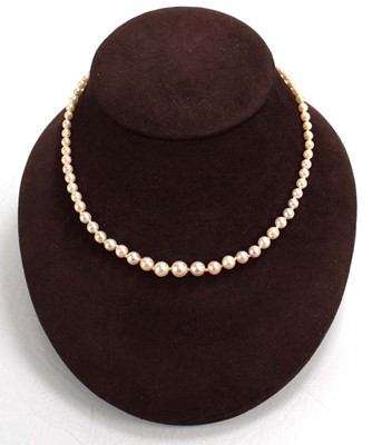 Lot 681 - A single strand graduated cultured pearl...