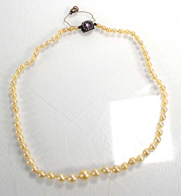 Lot 713 - A double strand graduated cultured pearl...