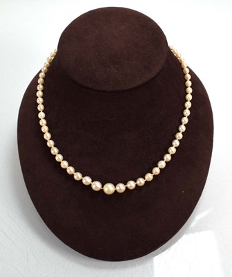 Lot 713 - A double strand graduated cultured pearl...