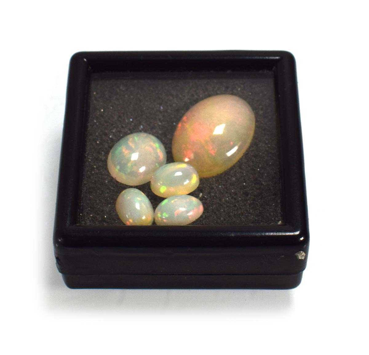 Lot 731 - Five loose opal stones, largest 17 x 13 mm (5)
