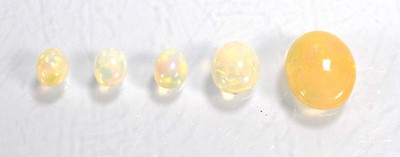 Lot 731 - Five loose opal stones, largest 17 x 13 mm (5)
