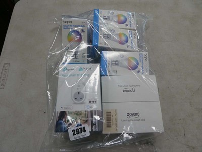 Lot 2974 - Bag of LED bulbs and Gosund smart plugs