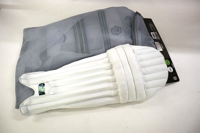 Lot GM AION cricket batting pads, youths, ambi