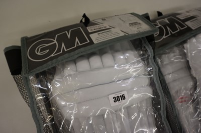 Lot GM Mana batting pads x2 pairs, junior, ambi