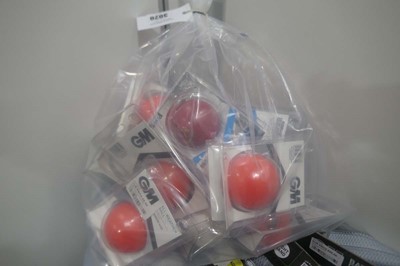 Lot 12x GM swing and practice cricket balls