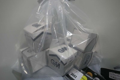 Lot 7x GM Skills cricket balls