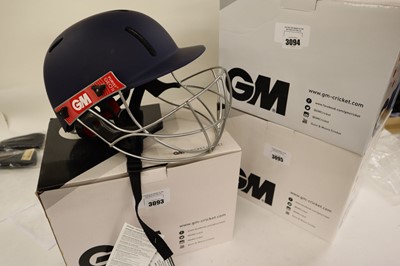 Lot GM Purist GEO II cricket helmet, navy, senior