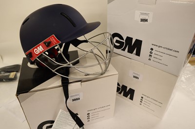 Lot GM Purist GEO II cricket helmet, navy, senior