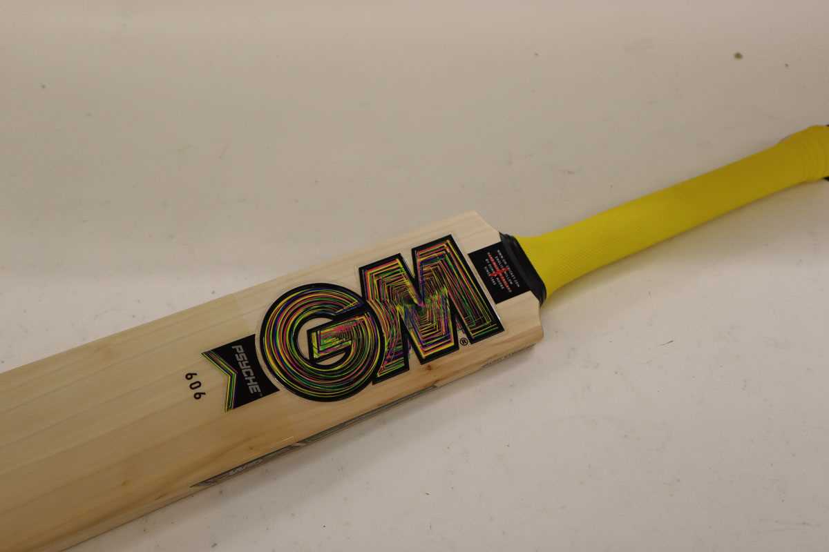 Lot GM Psyche DMX 606 TTNow junior cricket bat,...