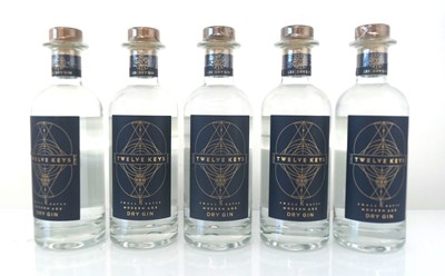 Lot 15 - 5 bottles of Twelve Keys Small Batch Modern...