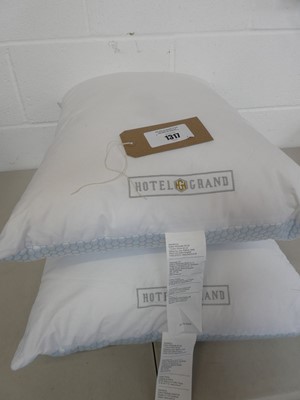 Lot 1317 - A pair of Hotel Grand cooling pillows