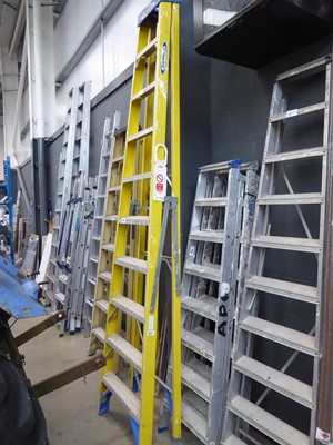 Lot 4289 - Set of Werner 10-tread fibreglass/aluminium steps