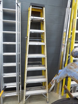 Lot 4291 - Two fibreglass/aluminium steps