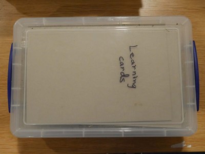 Lot 260 - An extensive collection of painted and...