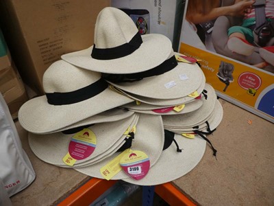 Lot 3199 - Approximately Twenty summer hats