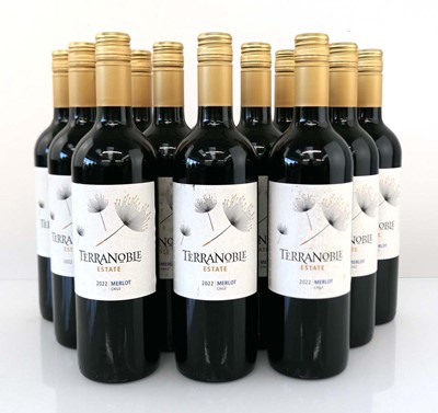 Lot 367 - 12 bottles of Terranoble Estate 2022 Merlot...