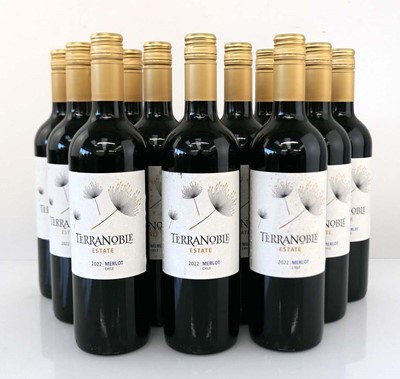 Lot 368 - 12 bottles of Terranoble Estate 2022 Merlot...