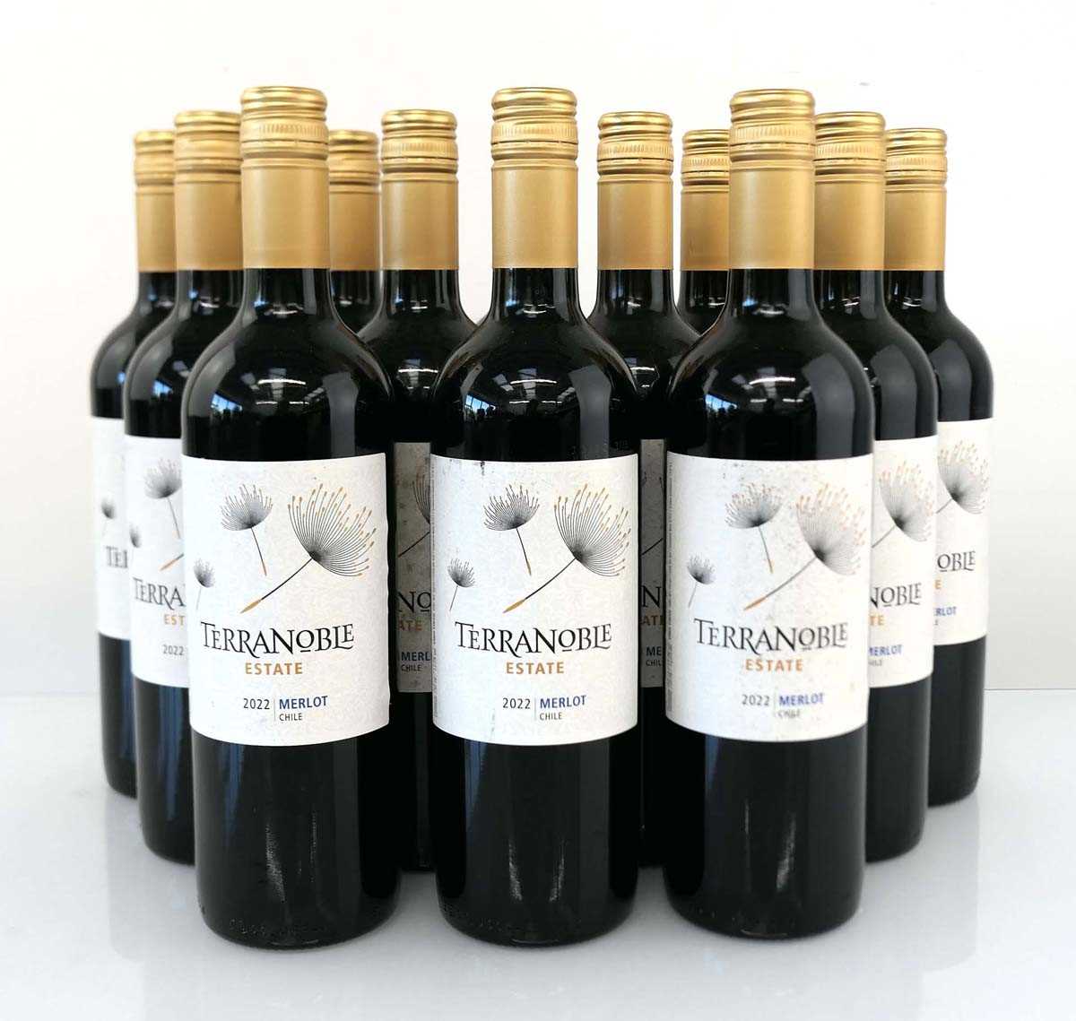 Lot 369 - 12 bottles of Terranoble Estate 2022 Merlot...